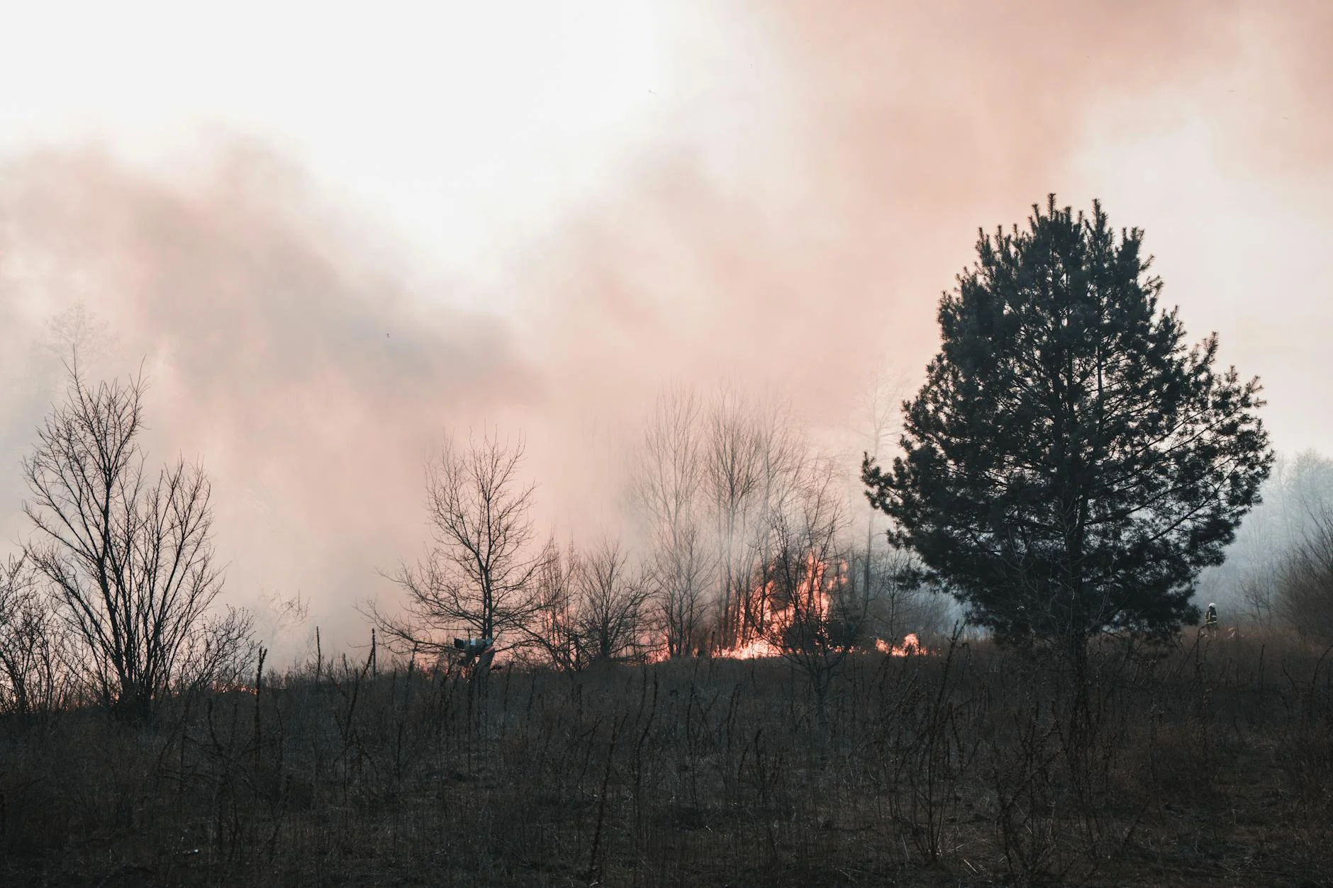 Europe's 2025 Wildfire Crisis Exposes Climate Adaptation Gap