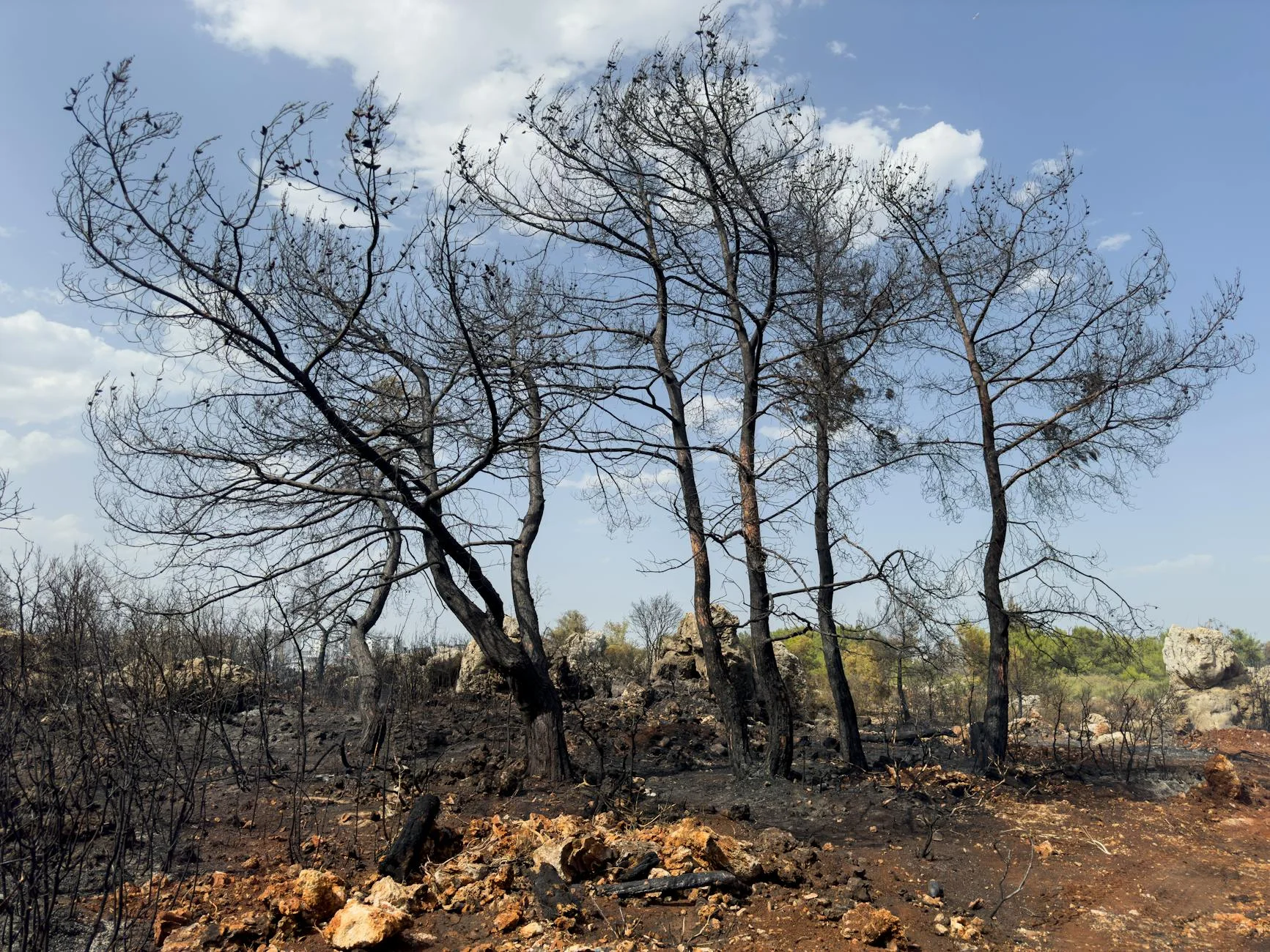 Europe's 2025 Wildfire Crisis Exposes Climate Adaptation Gap